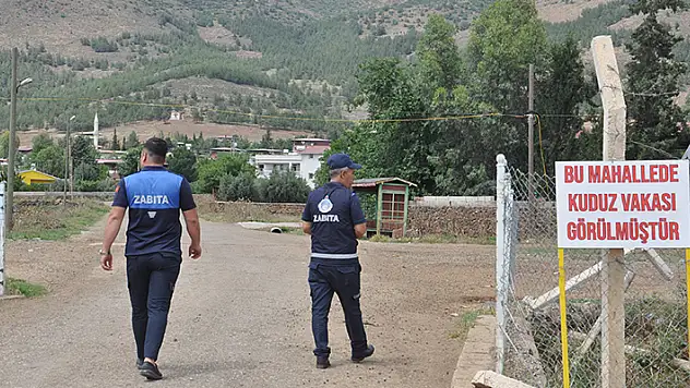  Bir kişiyi ısıran köpek kuduz çıktı, mahalle 6 ay karantinaya alındı