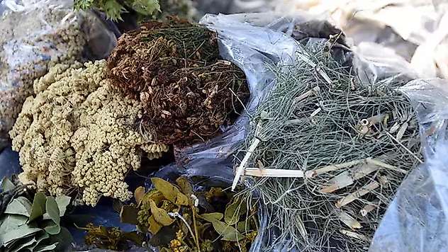 'Bitkisel ürün' uyarısı: Masum olmayabilir

