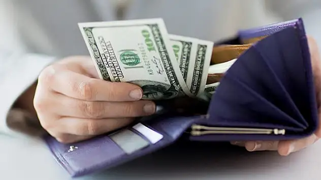  Dolar 8,89 lira
