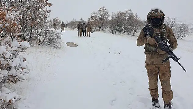 'Eren-2 Lice Operasyonu' başladı