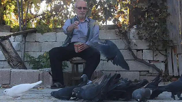 'Evladım' dediği güvercinlerine 50 yıldır bakıyor
