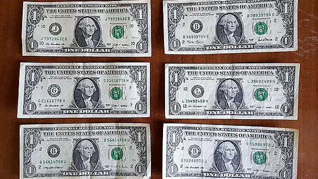 'FETÖ'nün bir dolarlık banknotları' iddianamede