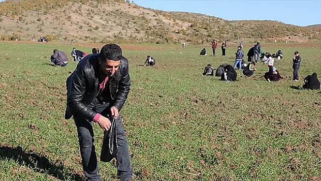 'Gök taşı satışına vergi yok'
