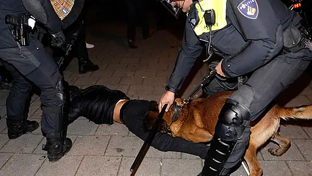 'Hollanda polisi bize köpeklerle saldırdı'