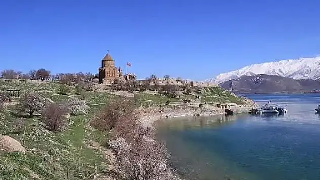 'İstilacı tavşanlar' sürgünde