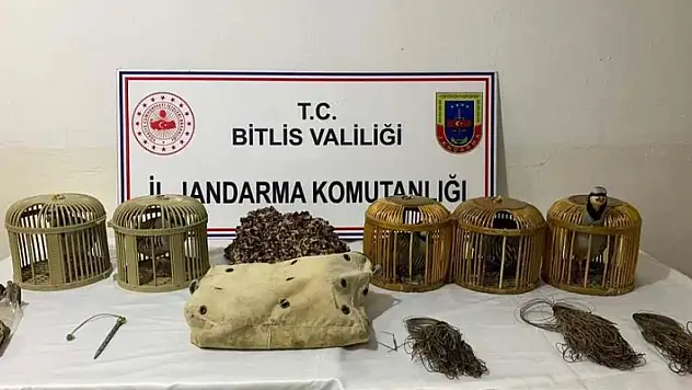  Keklik avlayan 2 kişiye 63 bin lira para cezası uygulandı