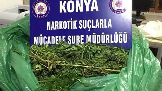  Konya'da uyuşturucu operasyonu: 1 gözaltı