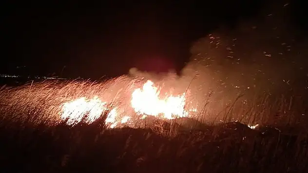 'Kuş Cenneti'ndeki yangınlar çevrecileri endişelendiriyor
