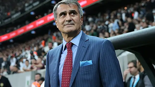'Milli Takım'ın hocası Şenol Güneş olmalı!'