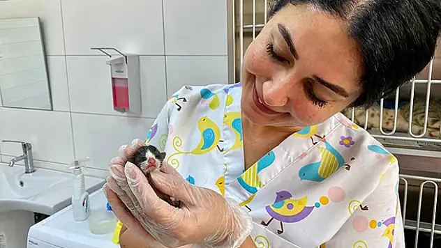'Mucize' kediye özel beslenme programı