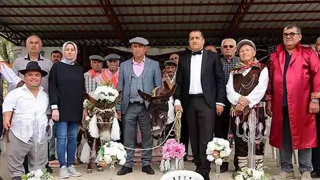'Nesli tükenmesin' diye eşeklere sembolik nikah kıydılar
 