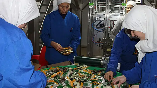 'Okul üzümü' Çiftçinin de Yüzünü Güldürdü