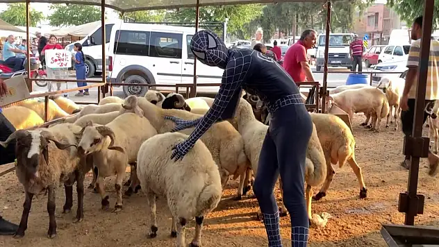 'Örümcek Adam' kurban pazarında
