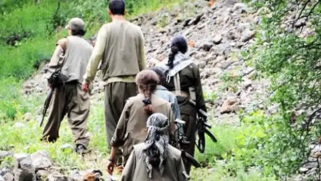 'PKK uluslararası hale gelmeyi amaçlıyor'