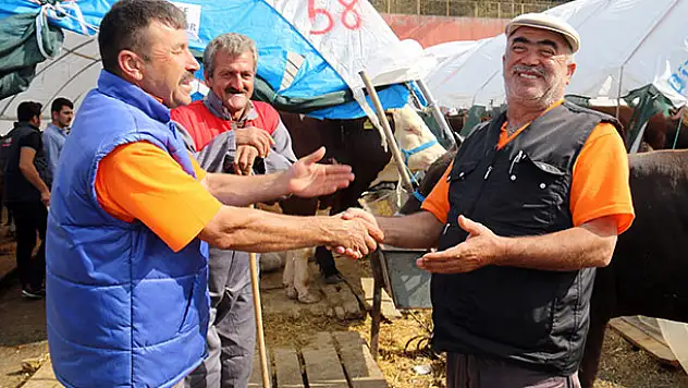  Sahibinden satılık e-kurbanlık