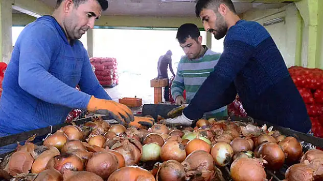 'Spekülatörlerin soğandaki fiyat oyunu bozuldu'