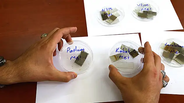 'Turp ve patlıcan'dan güneş pili