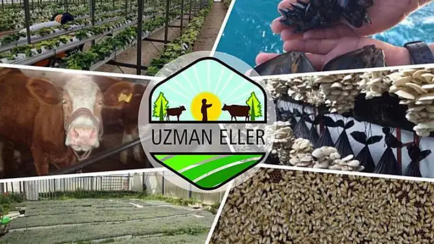 'Uzman Eller Projesi'nde en çok  proje Konya'dan 