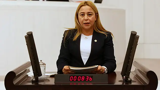 'Vergi ödemenin kul hakkı ve milli ödev olduğu küçük yaşta aşılanmalı' 
