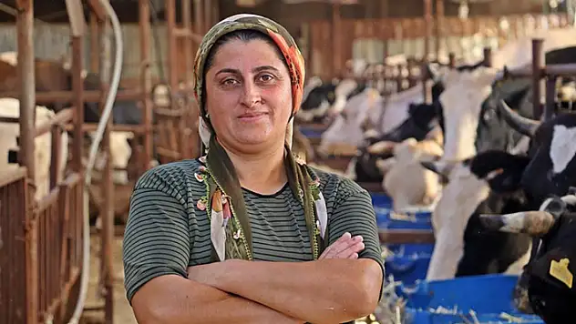 'Yapamazsın' diyenlere inat 4 bilezikle hayvancılık işine girdi, milyonluk servet sahibi oldu

