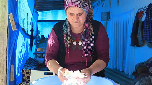 'Yerli Rokfor' mağaraya inmeye başladı