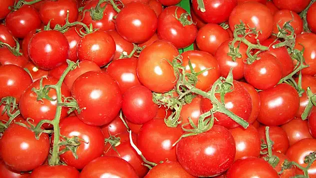 1 liralık domates 4 lira oldu