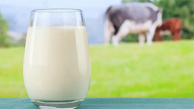 1 litre sütün fiyatı 9 liraya dayandı
