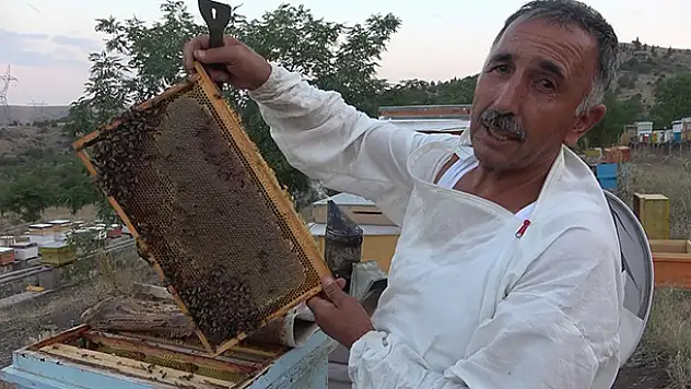 10 çeşit bitkiden elde edilen her derde deva balın kilosu 100 lira