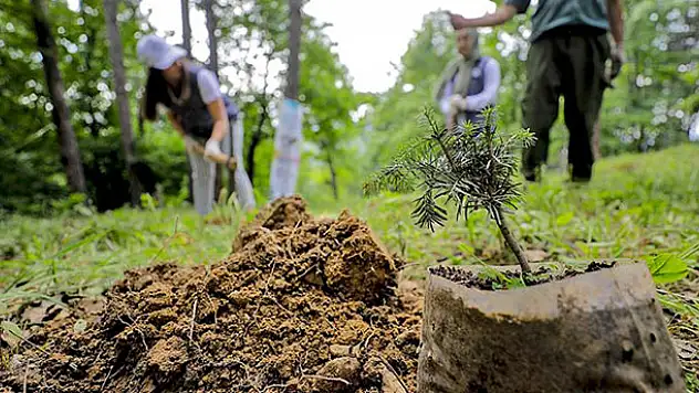 11 Kasım'ı 'Milli Ağaçlandırma Günü' ilan edildi