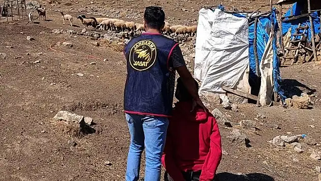 11 yıl hapisle aranan hükümlü, ormanda yakalandı
