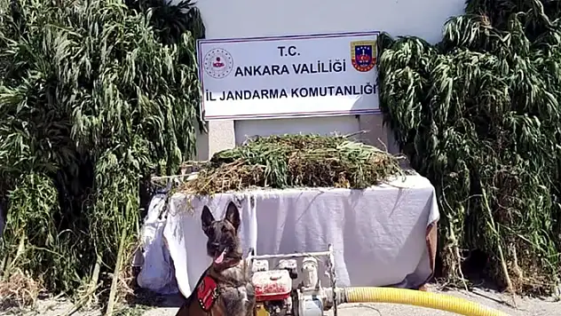 12 ilde 'Narkoçelik-26' operasyonları: 57 gözaltı
