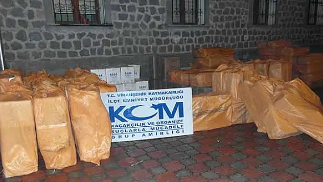 137 bin 800 paket kaçak sigara ele geçirildi