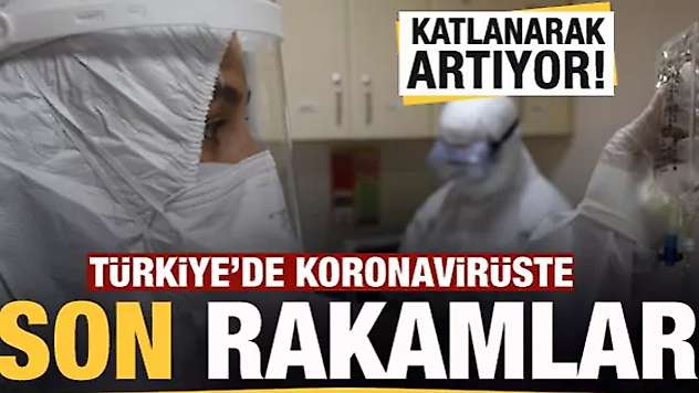 14 Kasım koronavirüs tablosu! Hasta, ölü sayısı ve son durum açıklandı