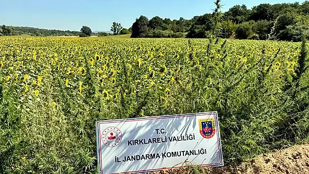 16 ildeki 'Narkoçelik-28' operasyonlarında, 40 şüpheli tutuklandı
