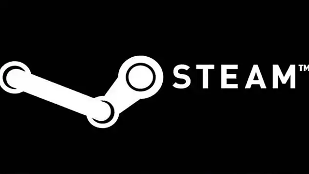 16 yaşındaki genç Steam'i hackledi!