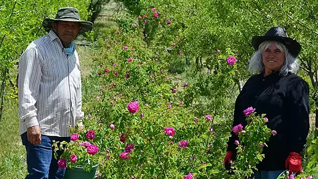 160 traktör toprak çekti, bambaşka bir yere dönüştürdü! 
