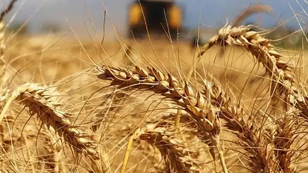 17 Aralık 2021 Konya'da hububat fiyatları