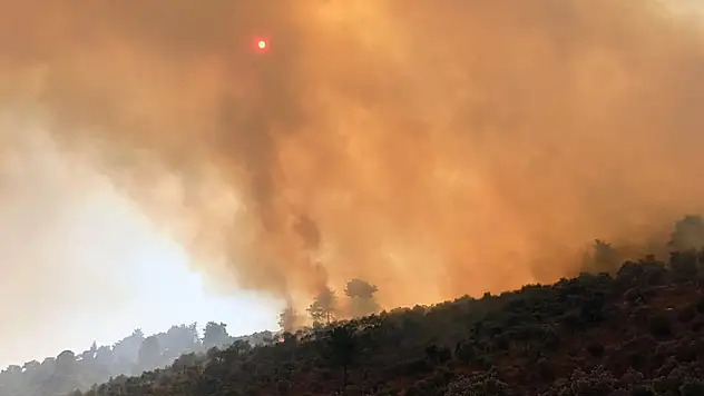 18 ayrı suçtan kaydı çıktı! 160 hektar alanı torpille yakmış
