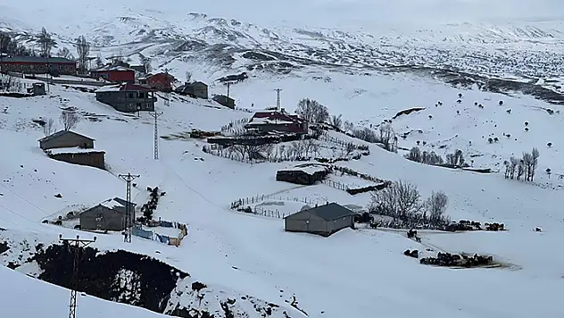 1800 rakımdaki köyde ev ve ahırlar kara gömüldü

