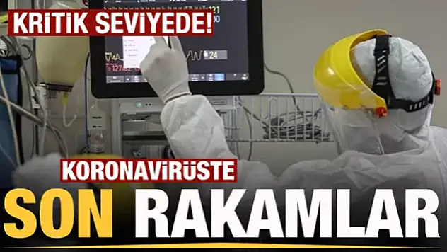 19 Şubat koronavirüs tablosu! Vaka, Hasta, ölü sayısı ve son durum açıklandı