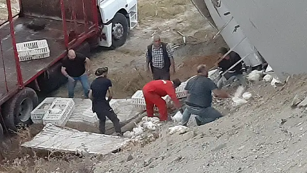 2 bin 500 canlı tavuk yüklü kamyon virajı alamayarak devrildi
