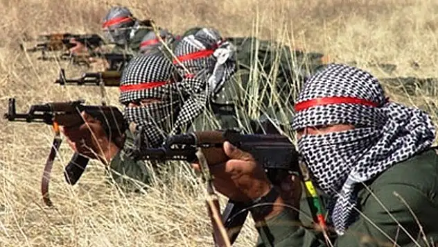 2 PKK'lı ölü ele geçirildi