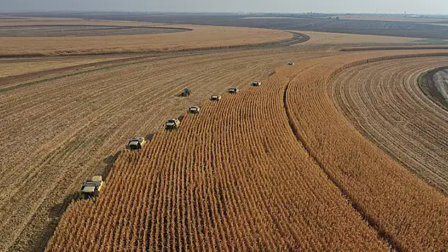 2022 yılında yabancılara en fazla tarım arazisi satılan il Konya oldu! Tam 772 bin 263 metrekare