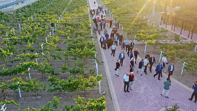 2023'ün en iyi rotası: Meram Bağı