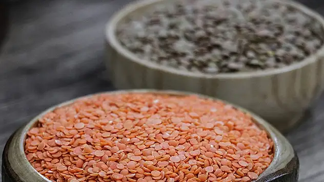 2024 hububat alım fiyatları belli oldu
