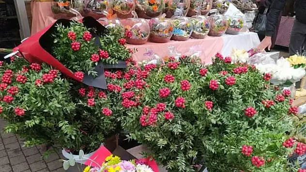 25 liradan satılıyor! Ev sahibi olmak için akın ediyorlar