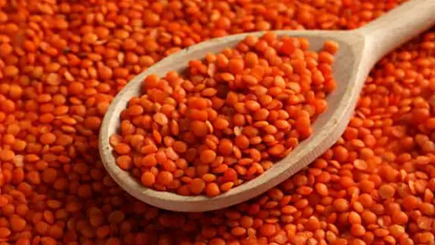 26 yıl sonra bir ilk! Kırmızı mercimek alacak