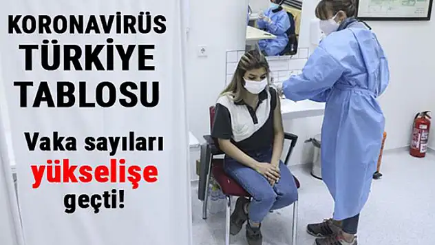 29 Temmuz Türkiye'de koronavirüs tablosu