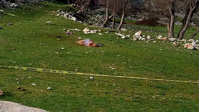 3 köpeğin saldırdığı yaşlı kadın öldü
