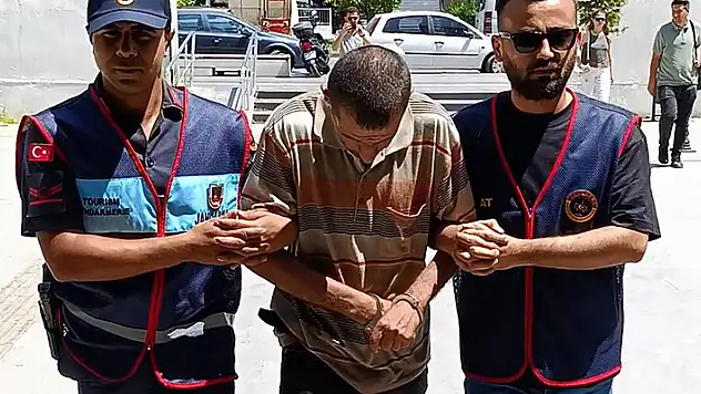 3 orman yangını çıkaran çoban tutuklandı: Görevlilere kızdım yaktım
